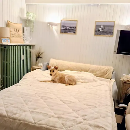 Coxuille Apartament Koksijde